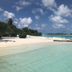 Icona utente