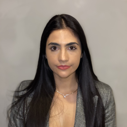 tutor a ROMA - ELISA