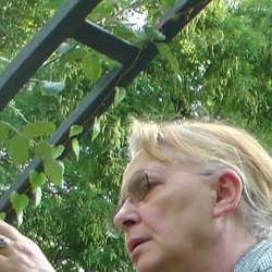 immagine del tutor Franca
