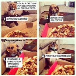 immagine del tutor Flavia