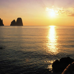 immagine del tutor Mariarosaria