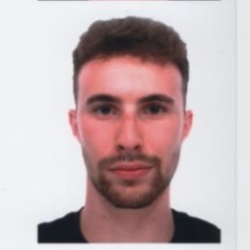 tutor a Lurago d'Erba - Francesco