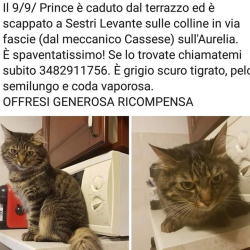 immagine del tutor Valentina