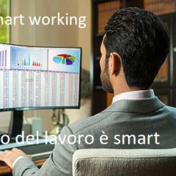 tutor a Anoia - saverio