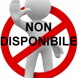 Avatar di Luca