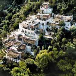 immagine del tutor Luigi