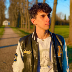 tutor a Arcore - Niccolò