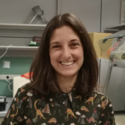 tutor a Faenza - Emilia