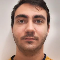tutor a Torino - Cosmin Stefan