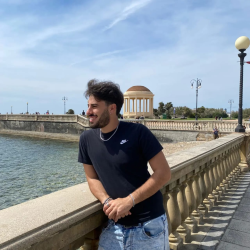 immagine del tutor Audinetti