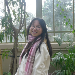 tutor a Sernaglia della Battaglia - Jia Jing