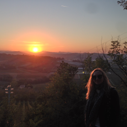tutor a Imola - Pam