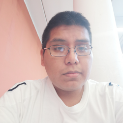 tutor a Osnago - Luis