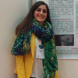 Maria F. I. insegnante di Aiuto tesi