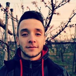 Leonardo F. insegnante di Aiuto tesi