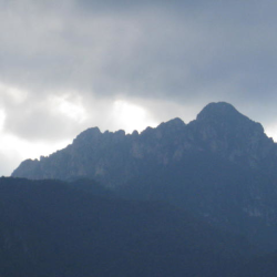 Sofia C. insegnante di Aiuto compiti