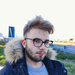 Marco P. insegnante di Diritto costituzionale